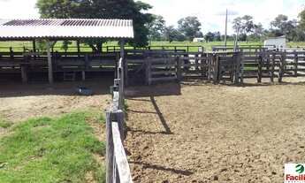 Imagem 3: VENDO FAZENDA FORMADA PECUARIA REGIAO DE COCALINHO (6132