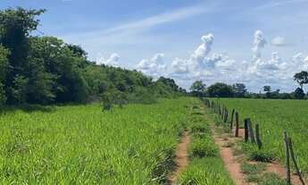 Imagem: VENDO FAZENDA 2900 HECTARES REGIAO DE COCALINHO