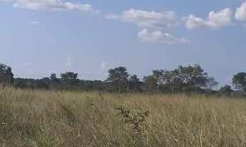 Imagem: VENDO TROCO FAZENDA REGIAO DE ARAGUAINA-MT