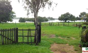 Imagem: VENDO FAZENDA FORMADA PECUARIA REGIAO DE