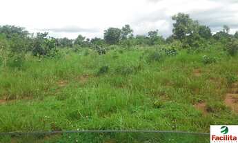 Imagem 5: VENDO FAZENDA DUPLA APTIDÃO REGIAO DE PARANATINGA ( 6129