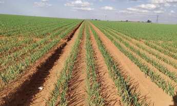 Imagem 2: VENDO FAZENDA PARA LAVOURA REGIAO DE IBIA ( 6141