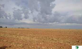 Imagem: VENDO FAZENDA PROPRIA PARA SEMENTEIRA REGIAO