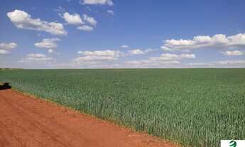Imagem: VENDO FAZENDA TOP PARA LAVOURA REGIAO DE