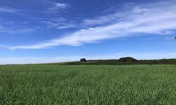 Imagem: VENDO FAZENDA PECUARIA E CULTURA REGIAO