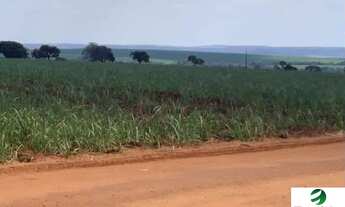 Imagem: VENDO FAZENDA CANA E PECUARIA REGIAO DE