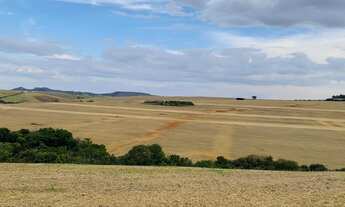 Imagem 5: VENDO FAZENDA PECUARIA E CULTURA REGIAO DE ARAXA ( 6147