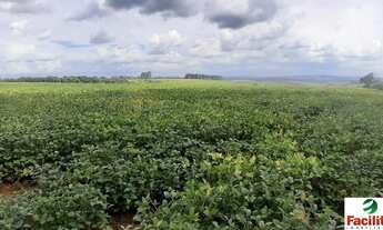 Imagem: VENDO FAZENDA PECUARIA E CULTURA REGIAO