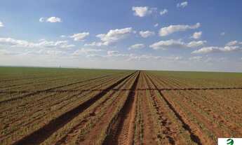 Imagem: VENDO FAZENDA PARA LAVOURA REGIAO DE IBIA