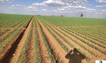 Imagem 5: VENDO FAZENDA PARA LAVOURA REGIAO DE IBIA ( 6141