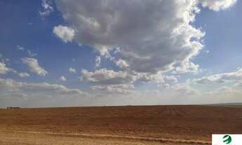 Imagem 5: VENDO FAZENDA PROPRIA PARA SEMENTEIRA REGIAO DE SACRAMENTO ( 6140