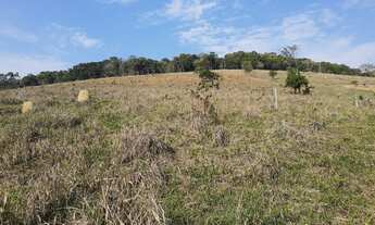 Imagem 6: VENDO CHACARA DE 3,5 ALQUEIRES EM PARAIBUNA (4248