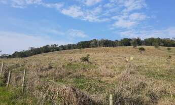 Imagem 2: VENDO CHACARA DE 3,5 ALQUEIRES EM PARAIBUNA (4248