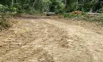 Imagem 6: ARRENDO FAZENDA DE 6000 HECTARES EM RORAIMA IDEAL PARA CULTURA SOJA E PECUARIA ( 4269