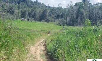 Imagem: ARRENDO FAZENDA DE 6000 HECTARES EM RORAIMA