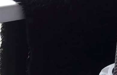 Imagem 4: Sobrado à venda em São Paulo