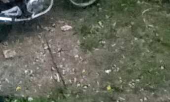 Imagem 7: CASA EM SÃO PAULO