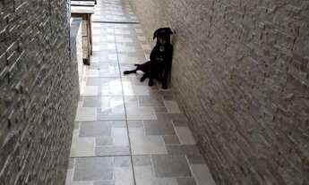 Imagem 7: SOBRADO Á VENDA EM SÃO PAULO NA CARDOSO FRANCO