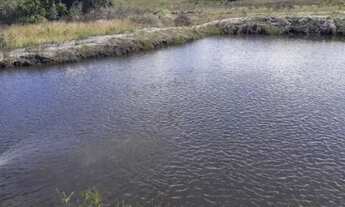 Imagem 6: SITIO RESIDENCIAL em CAMAÇARI - BA, COQUEIROS DE AREMBEPE (ABRANTES