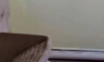 Imagem 4: Casa de 2 dormitórios, 2 banheiros, 2 vagas, com 189m² em Taboão, São Bernardo do Campo