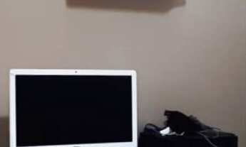 Imagem 6: Casa de 4 dormitórios sendo 1 suíte, 4 banheiros, 2 vagas com 211m² em Rudge Ramos, São Be