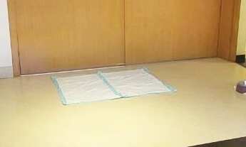 Imagem 5: Cobertura de 3 suítes, 6 vagas, com 260m² em Rudge Ramos, São Bernardo do Campo