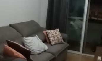 Imagem: Apartamento de 3 dormitórios, 2 banheiros