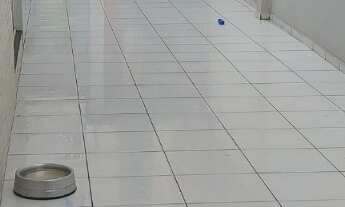 Imagem: Duas casas com 4 dormitórios, 3 banheiros