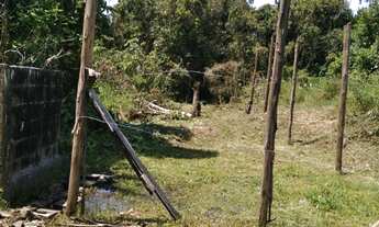Imagem 2: TERRENO RESIDENCIAL em Mongaguá - SP, Flórida Mirim