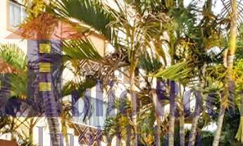 Imagem: COND RESIDENCIAL MONT SERRAT - CALDAS NOVAS