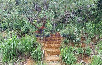 Imagem 7: TERRENO RESIDENCIAL em BRASÍLIA - DF, SETOR HABITACIONAL TORORÓ (JARDIM BOTÂNICO