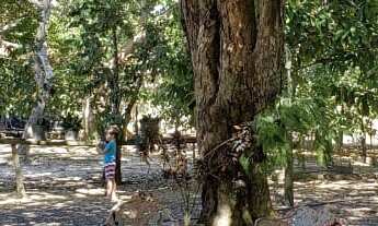 Imagem 7: CHACARA RESIDENCIAL em MARABÁ - PA, NOVA MARABÁ