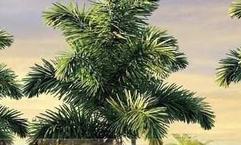 Imagem 6: TERRENO RESIDENCIAL em MARÍLIA - SP, JARDIM MARIA IZABEL