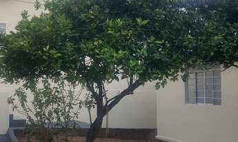 Imagem 5: CASA RESIDENCIAL em MARÍLIA - SP, PALMITAL