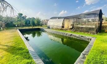 Imagem 5: CHACARA RESIDENCIAL em MARÍLIA - SP, CHÁCARA DE RECREIO LETÍCIA II (PADRE NÓBREGA