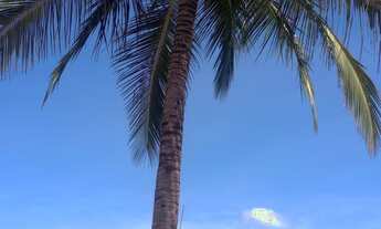 Imagem 3: CHACARA RESIDENCIAL em MARÍLIA - SP, SÍTIOS DE RECREIO PANAMBI