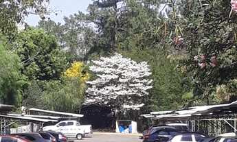 Imagem: APARTAMENTO RESIDENCIAL em MARÍLIA - SP