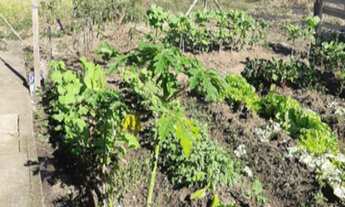 Imagem 4: Chácara com vista para Rodovia Carvalho Pinto