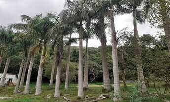 Imagem 2: Fazenda rural para Venda