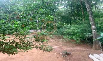 Imagem 5: Chácara com 4.000m² no Chácaras Indrid - R$280.000,00 - Barreiro - Taubaté