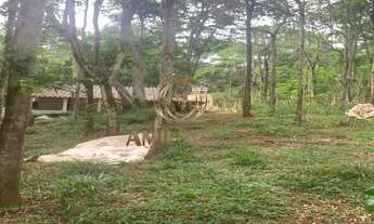 Imagem 6: Chácara com 4.000m² no Chácaras Indrid - R$280.000,00 - Barreiro - Taubaté