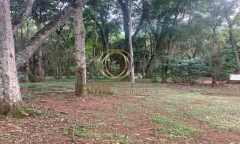 Imagem 3: Chácara com 4.000m² no Chácaras Indrid - R$280.000,00 - Barreiro - Taubaté