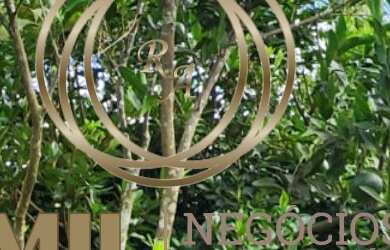 Imagem 4: RA AMIL VENDE E ALUGA CHÁCARA 1500 M2 COM 5 DORMITÓRIOS E PISCINA - KM 29 PARAÍBUNA