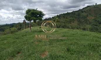 Imagem 2: Excelente oportunidade - área com 22.651,86m² por R$350.000,00 em Taubaté