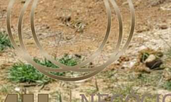 Imagem 3: Terreno - Condomínio Reserva Ruda - 260m² - Plano