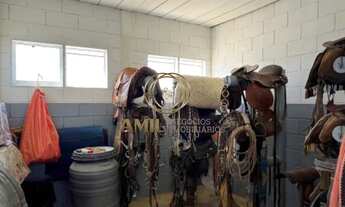 Imagem 7: Fazenda / São Francisco Xavier / Bairro do Butá / 2.440.000,00m² / São José dos Campos