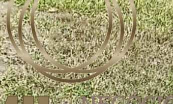 Imagem 2: Terreno / Condominio Terras de Santa Mariana / 02 dormitórios / 1.200m² / Caçapava - SP