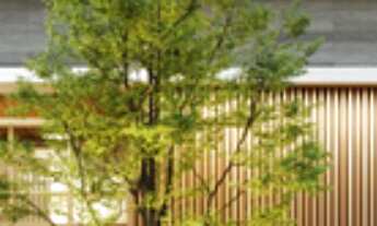 Imagem 4: APARTAMENTO RESIDENCIAL em São Paulo - SP, Itaim Bibi