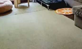 Imagem 4: Venda Casa Santos - SP- mAr dOce lAr - Sobrado com quintal no fundo e lateral, excelente e