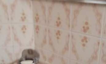 Imagem 6: Apartamento no BNH com 2 quartos na Praia da Aparecida em Santos